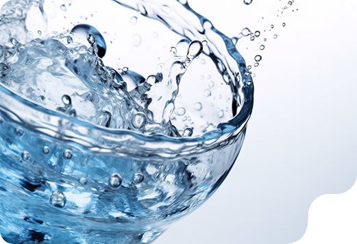 내장형 탄산수 디스펜서: 구매자 가이드